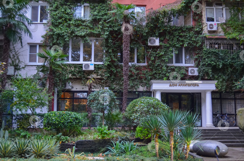 Скачать Россия, Краснодарский край, Сочи. Ноябрь 2024. ​​Воровского, 58. Дом архитектора. Зеленый дом фотосток Ozero