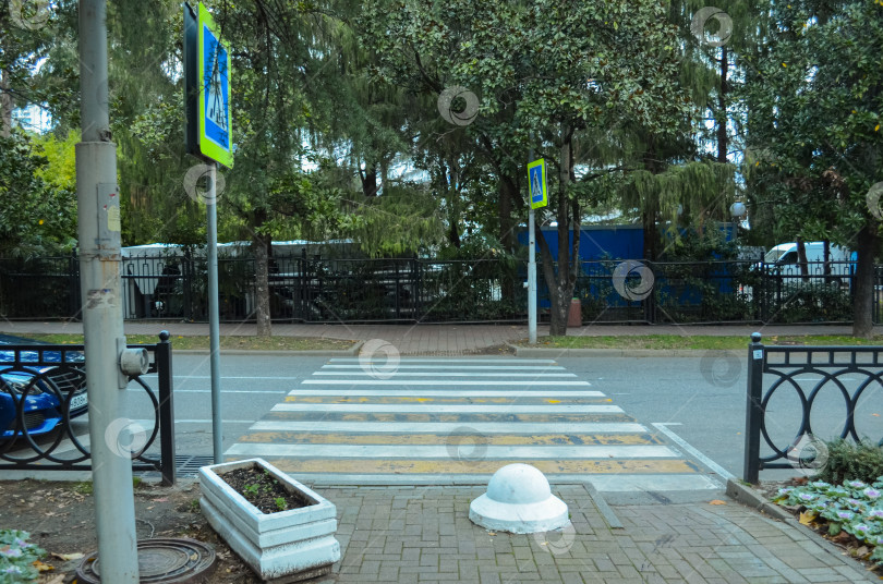 Скачать Россия, Краснодарский край, Сочи. Ноябрь 2024. Парк имени М.В. Фрунзе. Пешеходный переход фотосток Ozero