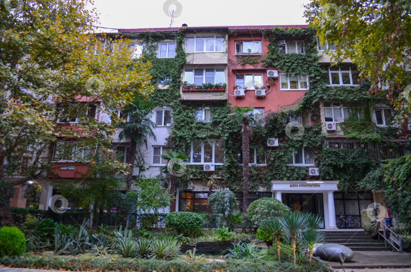 Скачать Россия, Краснодарский край, Сочи. Ноябрь 2024. ​​Воровского, 58. Дом архитектора. Зеленый дом фотосток Ozero