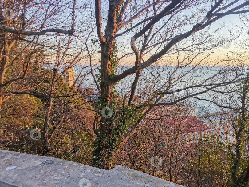 Скачать Россия, Краснодарский край, Сочи. Ноябрь 2024. Терренкур. Вид на железную дорогу фотосток Ozero