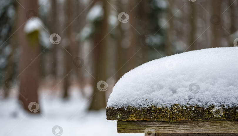 Скачать Первый снег, природа. Создано искусственным интеллектом. фотосток Ozero