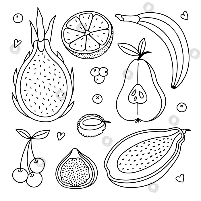 Скачать Набор для рисования Lovely line с экзотическими фруктами и ягодами. Нарисованные вручную драгон-фрукт, папайя, инжир, апельсин для открыток, фирменного оформления, медиа, печати. Коллекция тропических и фермерских продуктов, выделенных на белом фоне фотосток Ozero