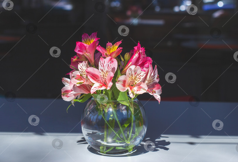 Скачать Букет альстромерий в стеклянной вазе. Цветы в солнечный день на витрине ресторана. Натюрморт фотосток Ozero