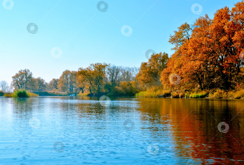 Скачать красивый осенний пейзаж на реке апельсиновые деревья отражаются в реке выборочный фокус фотосток Ozero