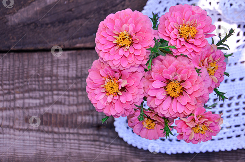 Скачать розовые цветы циннии на деревянном фоне рядом с салфеткой в винтажном стиле selective focus фотосток Ozero