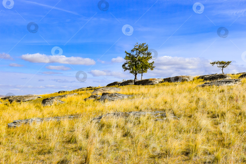 Скачать Осенний пейзаж фотосток Ozero