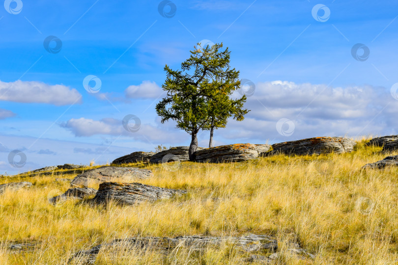 Скачать Осенний пейзаж фотосток Ozero