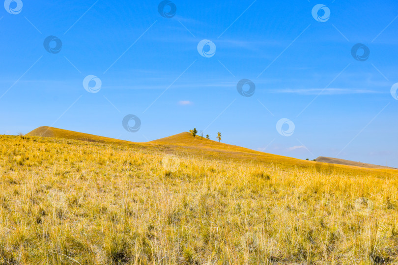 Скачать Осенний пейзаж фотосток Ozero