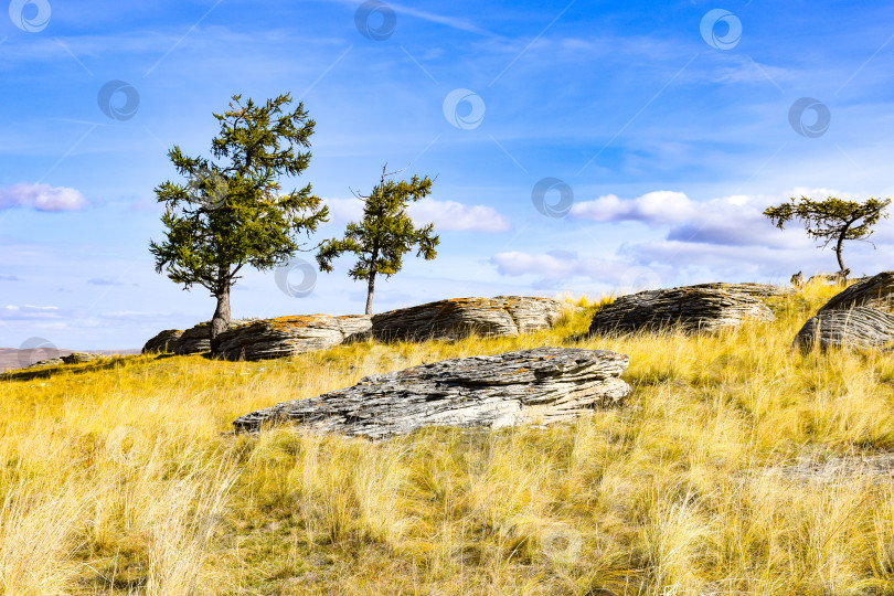 Скачать Осенний пейзаж фотосток Ozero