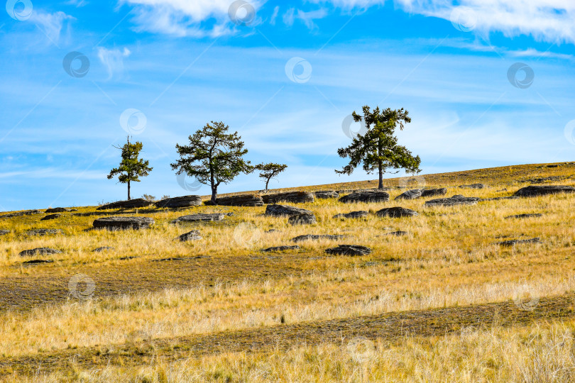 Скачать Осенний пейзаж фотосток Ozero