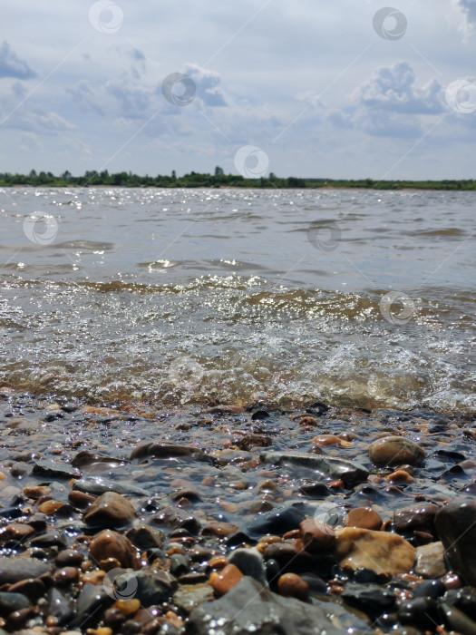 Скачать Берег реки фотосток Ozero