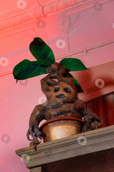 Скачать Фантастическая скульптура растения Мандрагора на полке. фотосток Ozero
