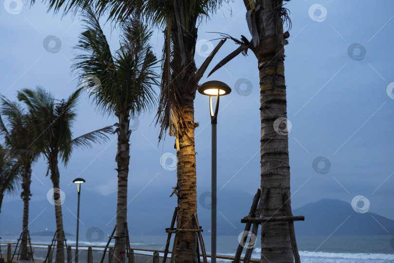 Скачать Вечер на набережной фотосток Ozero