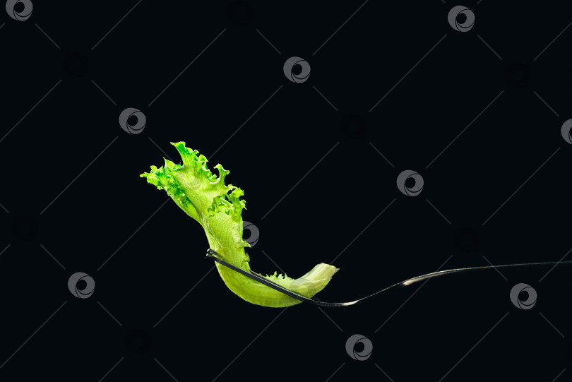 Скачать лист салата на вилке на темном фоне фотосток Ozero
