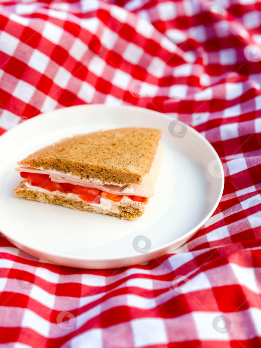 Скачать Бутерброд с ветчиной и сыром на белой тарелке с красным клетчатым одеялом для пикника фотосток Ozero