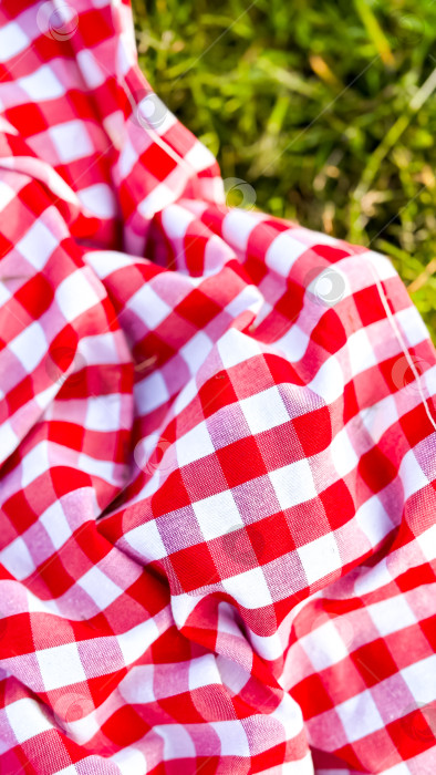Скачать Красно-белое клетчатое одеяло для пикника на траве фотосток Ozero