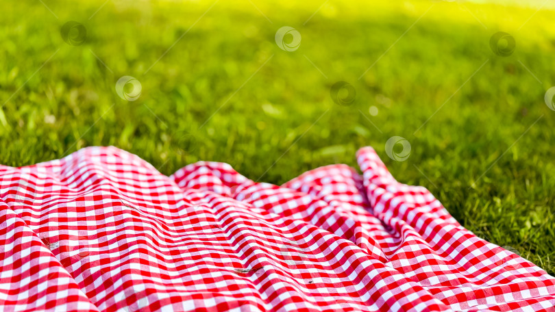 Скачать Красное клетчатое одеяло для пикника на траве в залитом солнцем парке фотосток Ozero