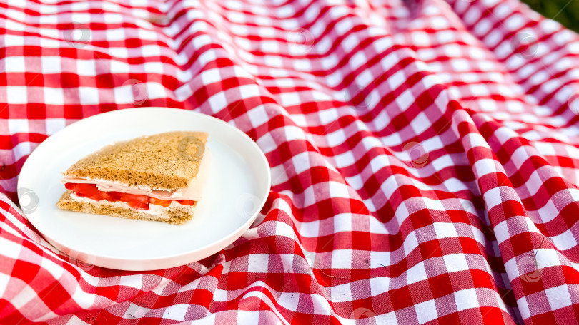 Скачать Простой бутерброд на клетчатой скатерти для пикника на открытом воздухе фотосток Ozero