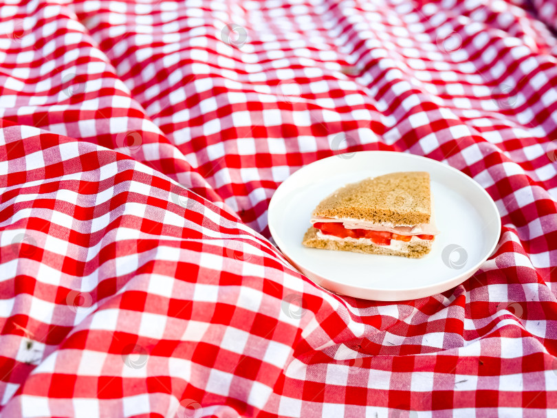 Скачать Бутерброд с ветчиной и сыром на белой тарелке с красным клетчатым одеялом для пикника фотосток Ozero