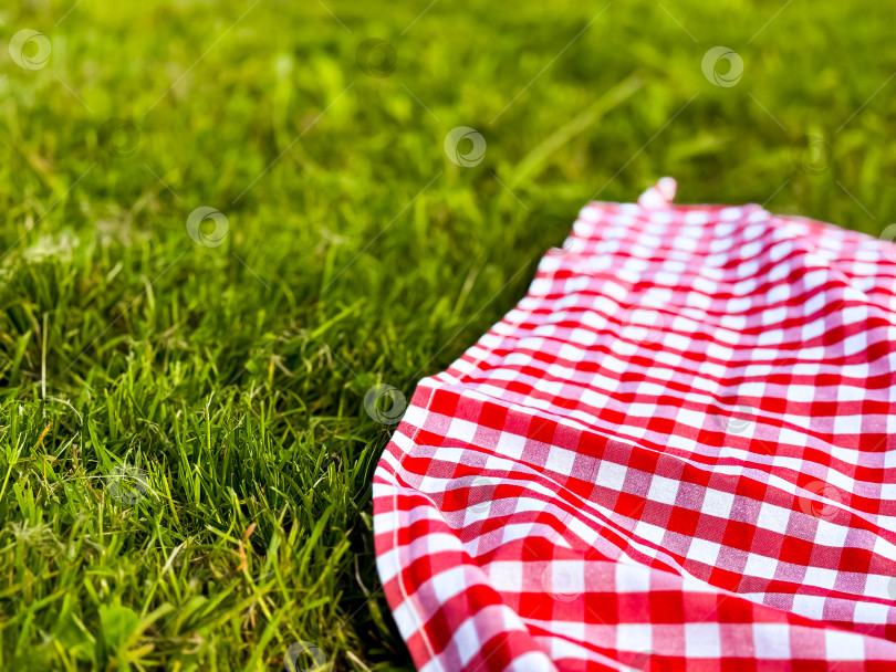 Скачать Красное клетчатое одеяло для пикника на сочной зеленой траве в солнечном месте на открытом воздухе фотосток Ozero