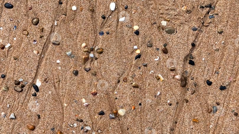 Скачать Разноцветная галька и ракушки на песчаном пляже фотосток Ozero