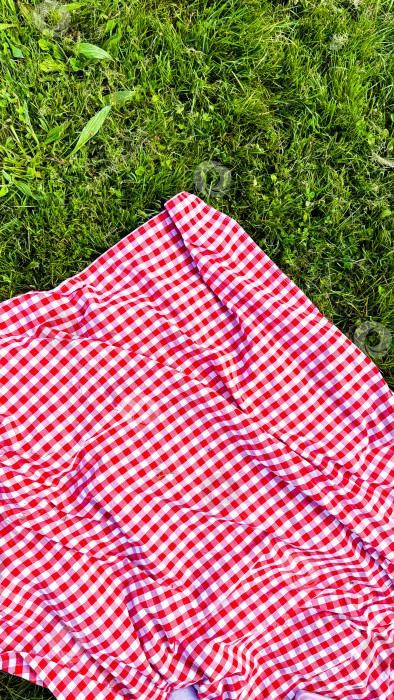 Скачать Красное клетчатое одеяло для пикника на сочной зеленой траве в парке фотосток Ozero