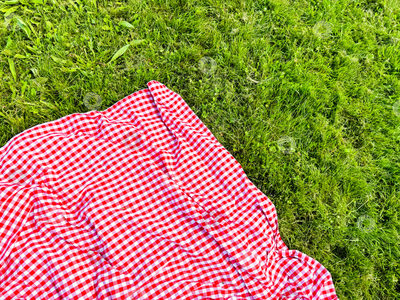 Скачать Красно-белое клетчатое одеяло для пикника на зеленой траве в парке фотосток Ozero