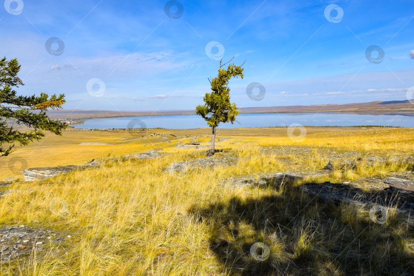 Скачать Осенний пейзаж фотосток Ozero