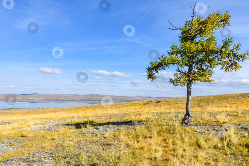 Скачать Осенний пейзаж фотосток Ozero