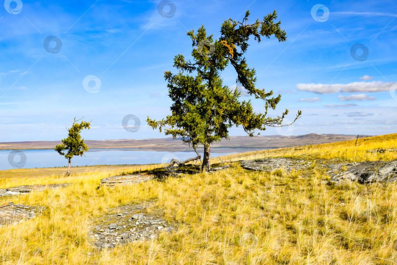 Скачать Осенний пейзаж фотосток Ozero
