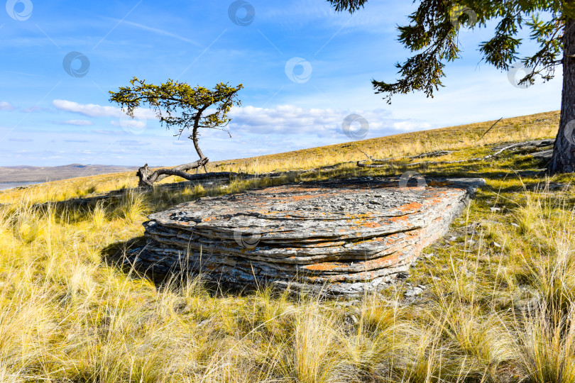 Скачать Осенний пейзаж фотосток Ozero