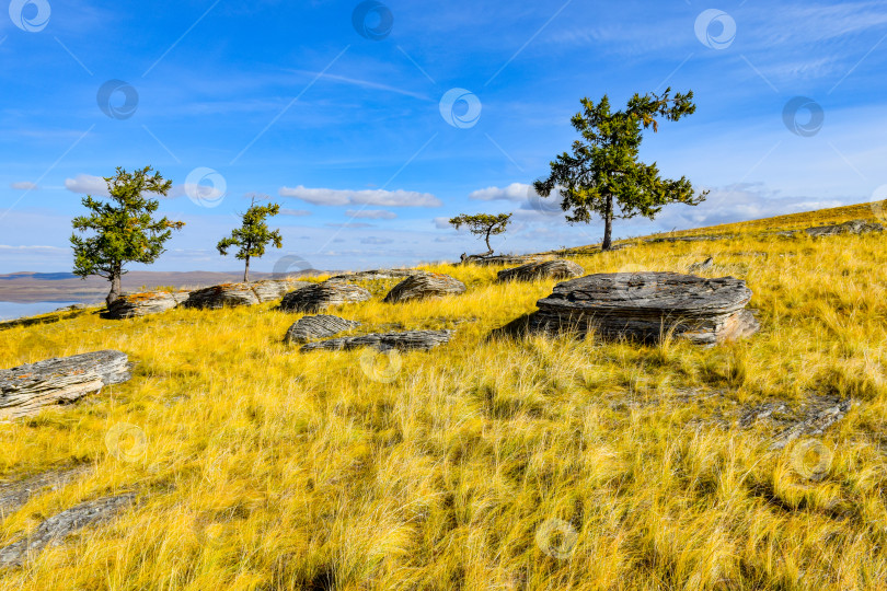 Скачать Осенний пейзаж фотосток Ozero