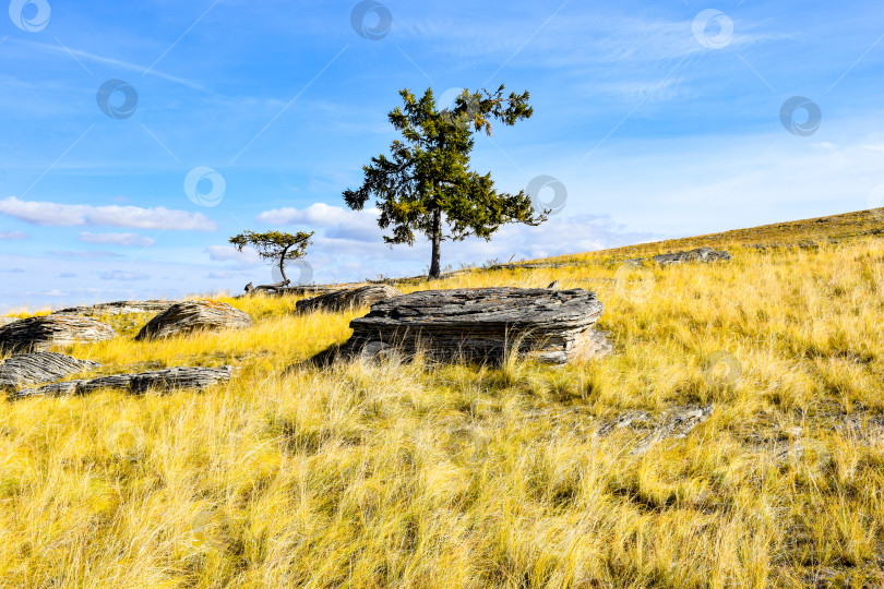 Скачать Осенний пейзаж фотосток Ozero