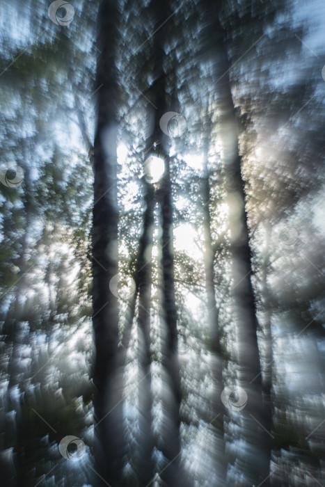 Скачать объектив монокль свет фотосток Ozero