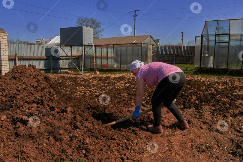 Скачать Фермер занимается огородом. Концепция органического земледелия и весеннего озеленения. фотосток Ozero