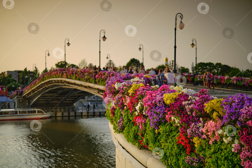 Скачать Москва. Лужков мост в цветах. фотосток Ozero