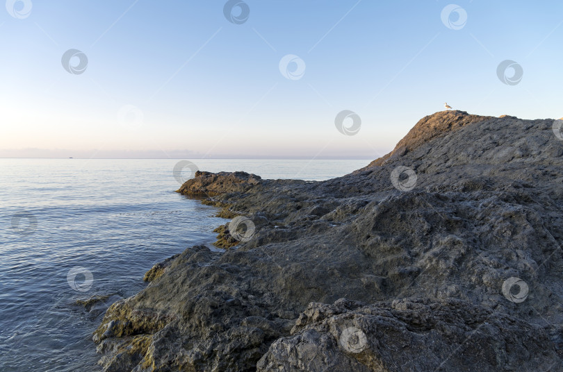 Скачать Тихое солнечное утро на побережье Черного моря. Крым. фотосток Ozero