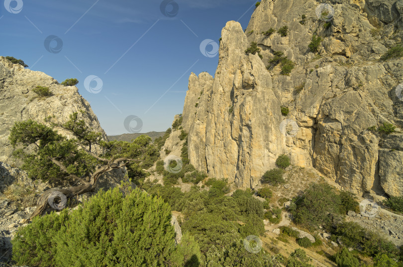 Скачать Горный пейзаж в Крыму. фотосток Ozero