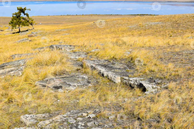 Скачать Осенний пейзаж фотосток Ozero