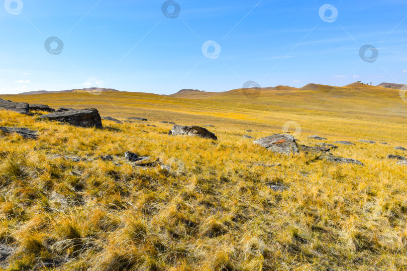 Скачать Осенний пейзаж фотосток Ozero