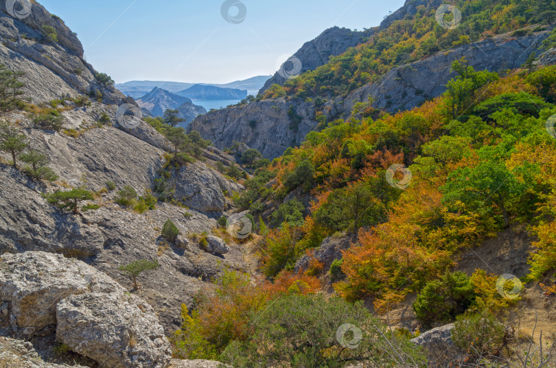 Скачать Небольшое ущелье в Крымских горах. фотосток Ozero