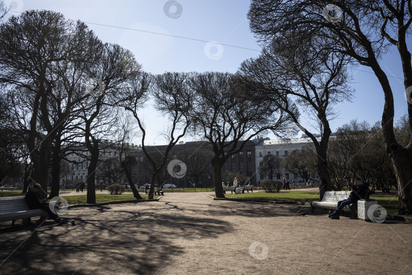 Скачать парк фотосток Ozero