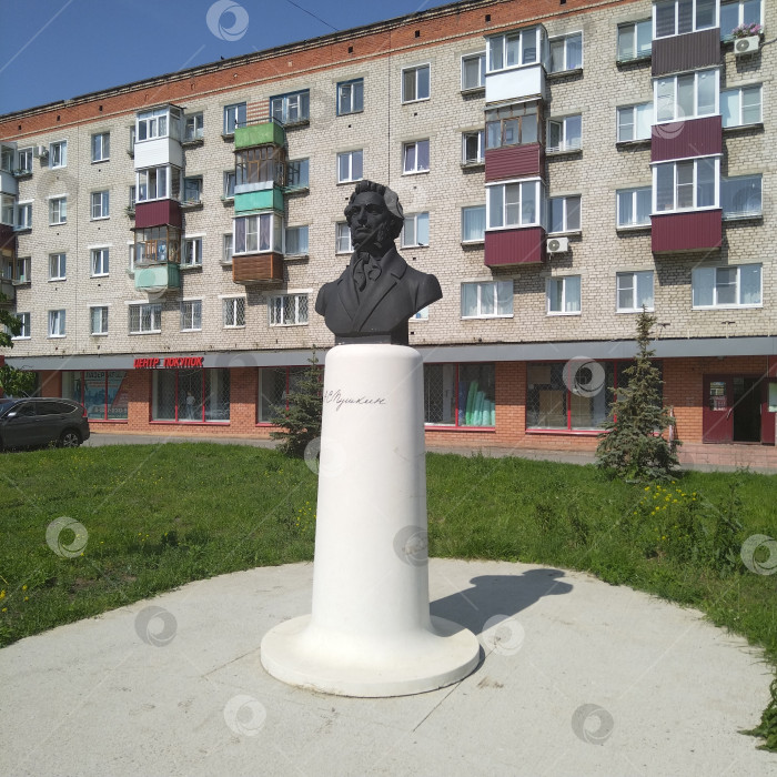 Скачать Памятник Пушкину и пятиэтажный многоквартирный дом. фотосток Ozero