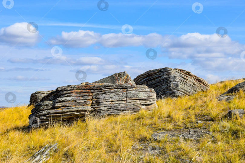 Скачать Осенний пейзаж фотосток Ozero