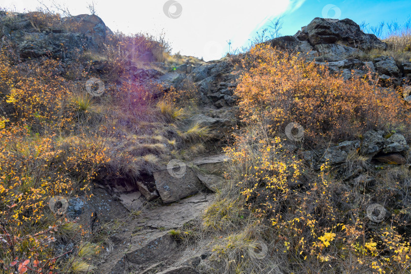 Скачать Осенний пейзаж фотосток Ozero