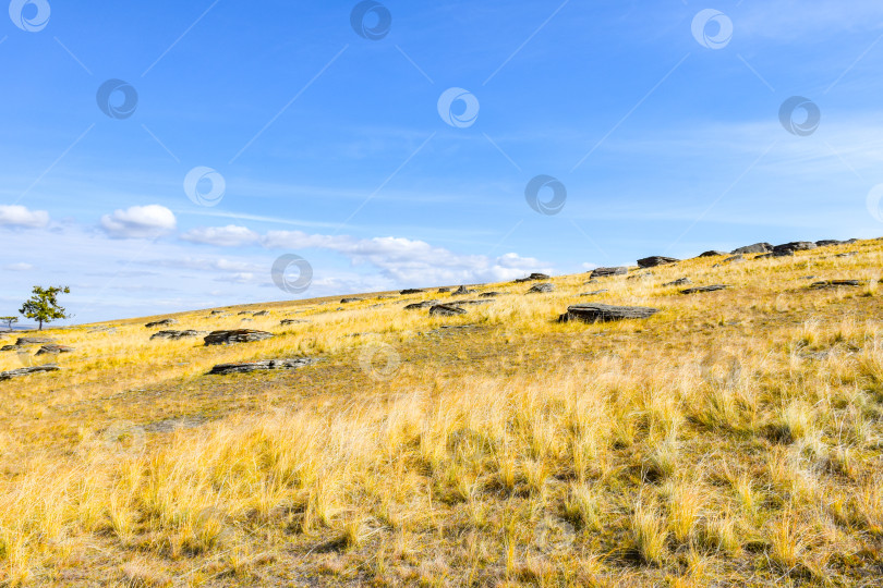 Скачать Осенний пейзаж фотосток Ozero