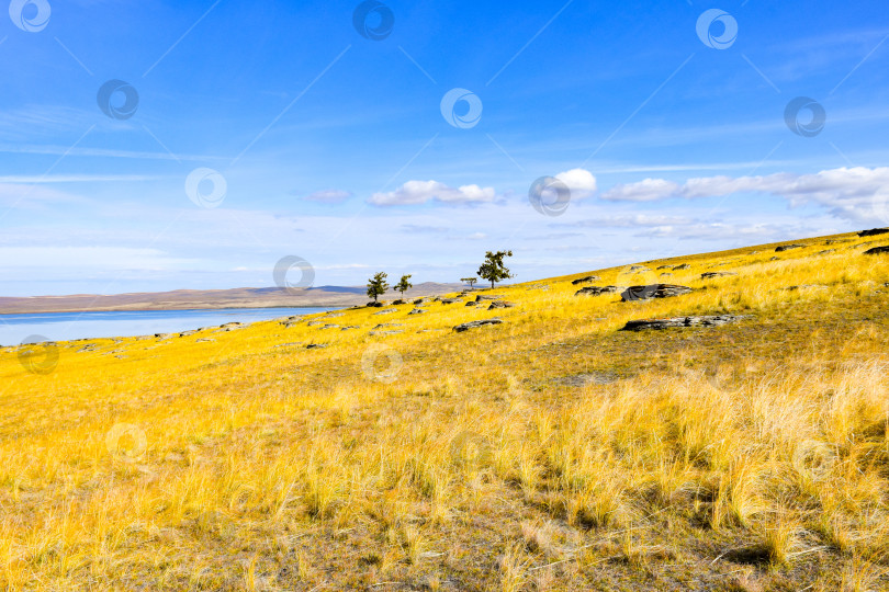 Скачать Осенний пейзаж фотосток Ozero