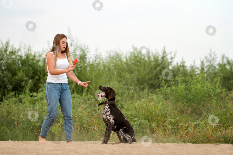 Скачать Прогулка с собакой фотосток Ozero