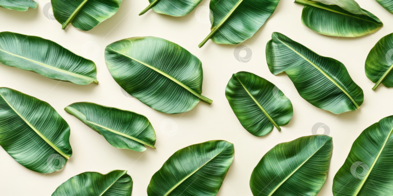 Скачать Ультрареалистичный крупный план расположения банановых листьев с высокой точностью для создания природного дизайна фотосток Ozero