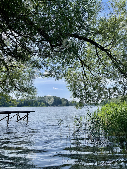 Скачать Берег реки фотосток Ozero